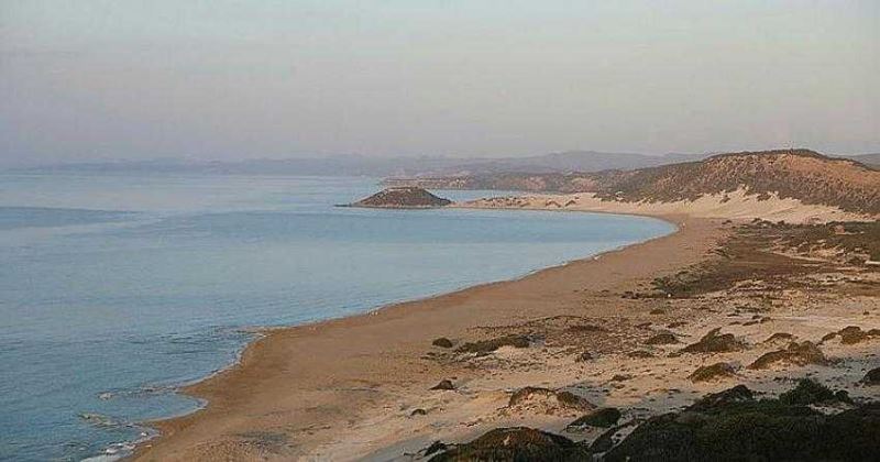 Suriye kaynaklı petrol sızıntısı KKTC kıyılarından uzaklaştı