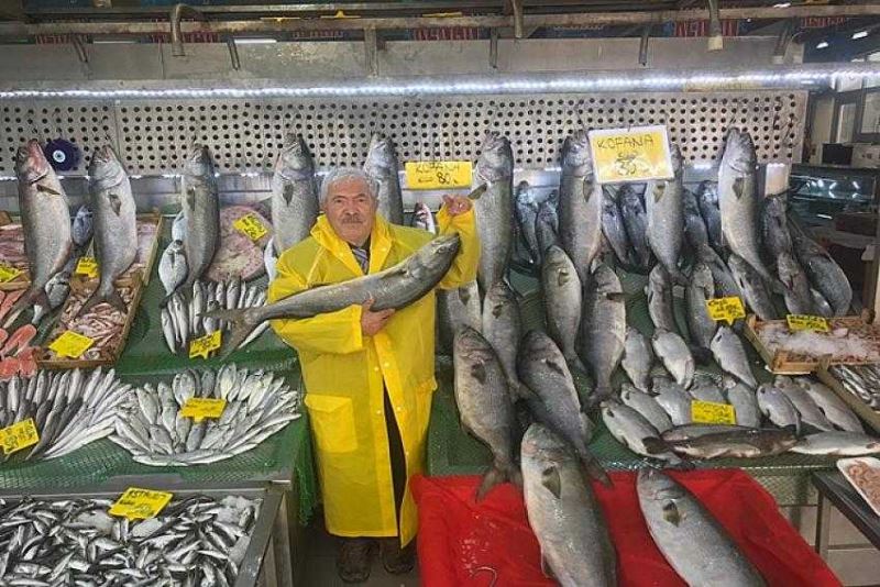  KOFANA BALIĞI BOLLUĞU