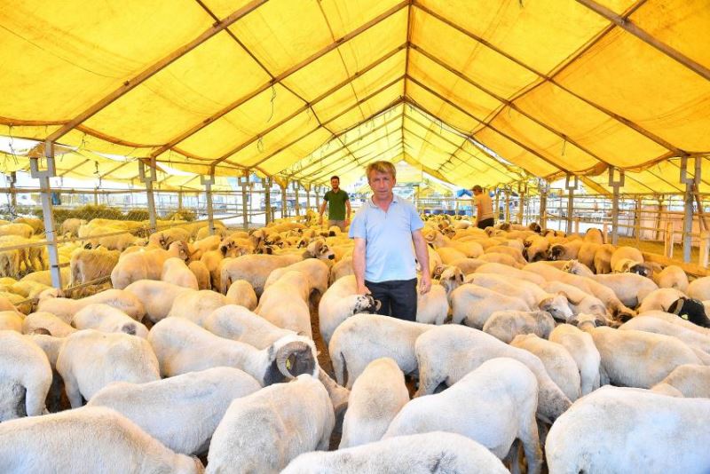 BEYLİKDÜZÜ’NDE KURBAN SATIŞ VE KESİM ALANI BAYRAMA HAZIR